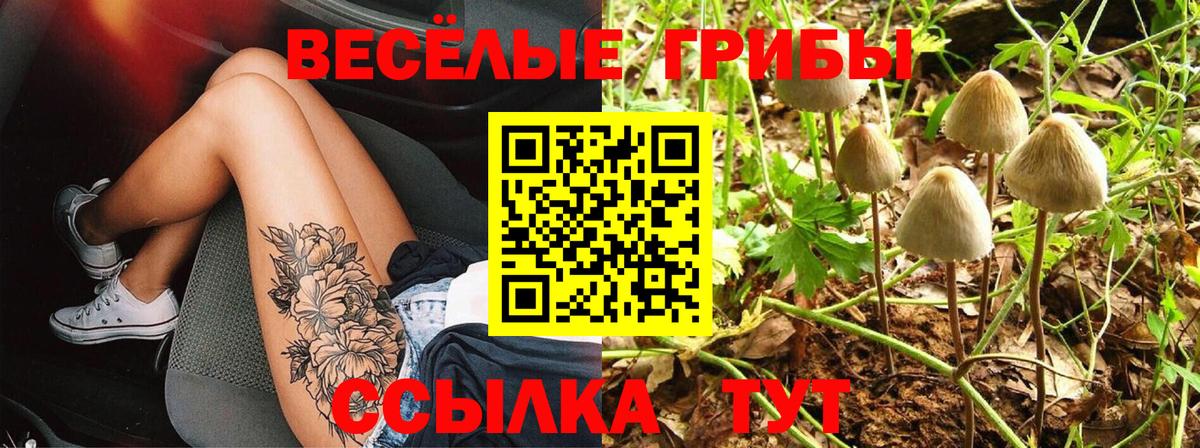 Псилоцибиновые грибы прущие грибы Алушта